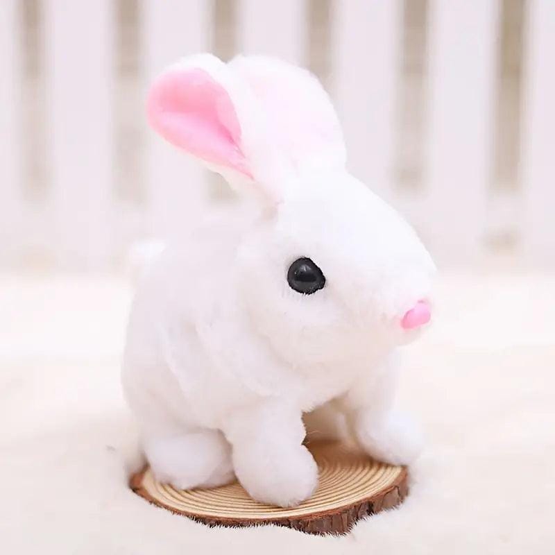 https://cdn.shopify.com/s/files/1/0700/7132/0858/files/205_7.jpg?v=1756668025