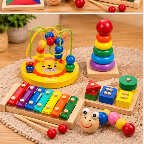 Montessori Wooden Early Learning Activity Kit